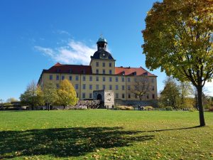 Goldener Herbst im Park